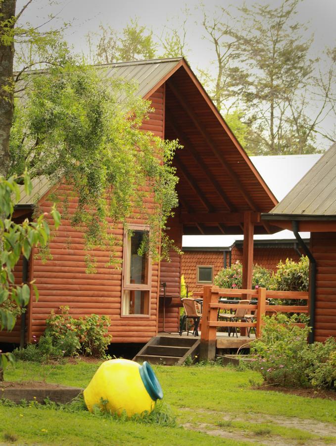Cabanas Risso Villa Villarrica Exteriör bild