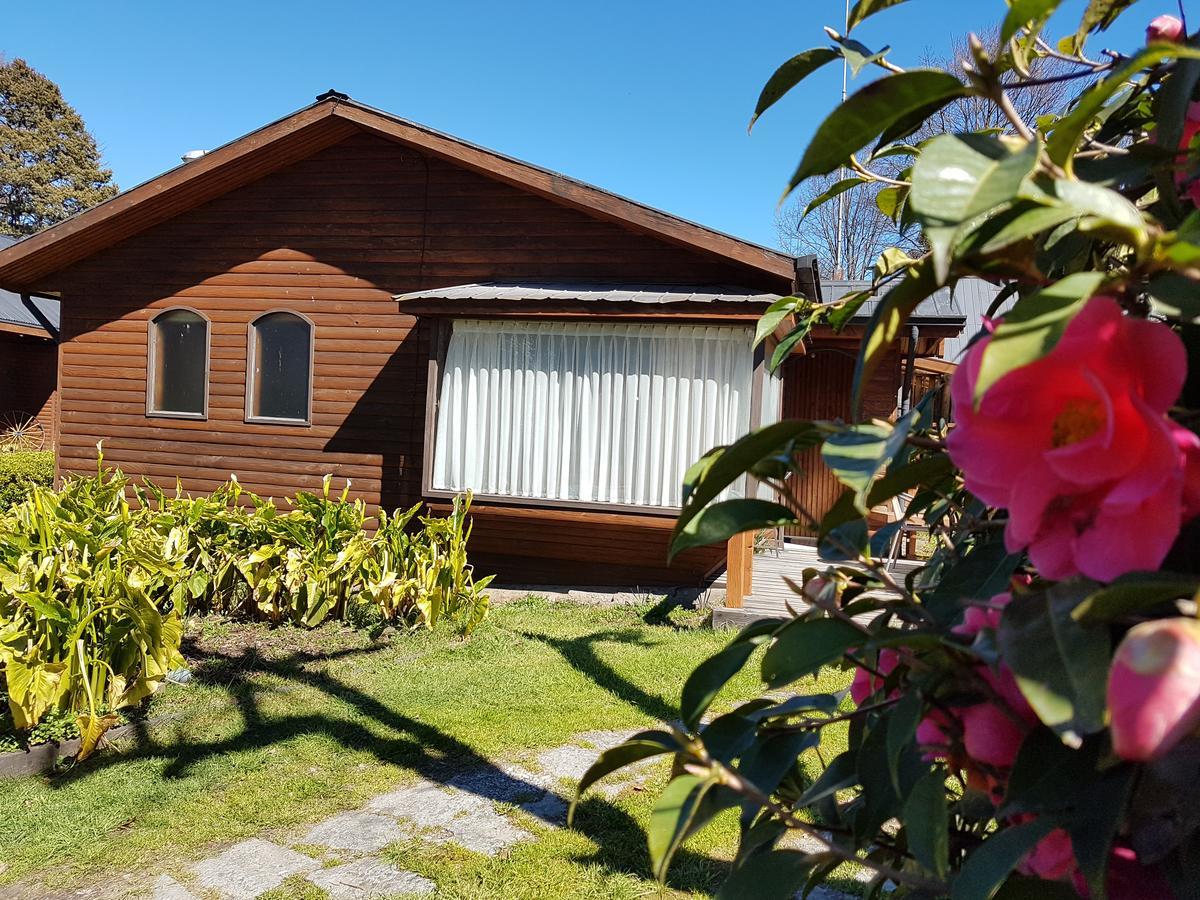 Cabanas Risso Villa Villarrica Exteriör bild