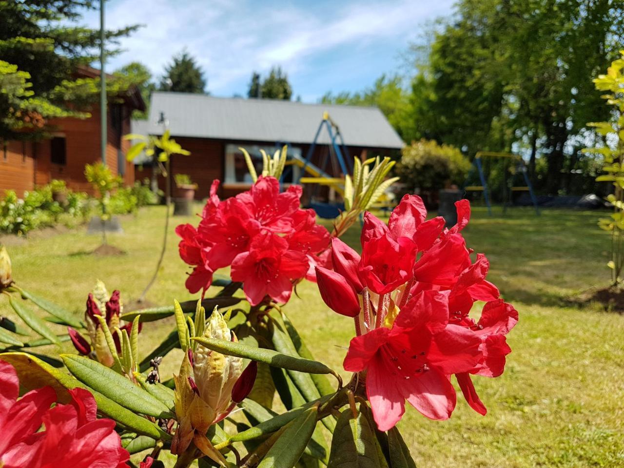 Cabanas Risso Villa Villarrica Exteriör bild