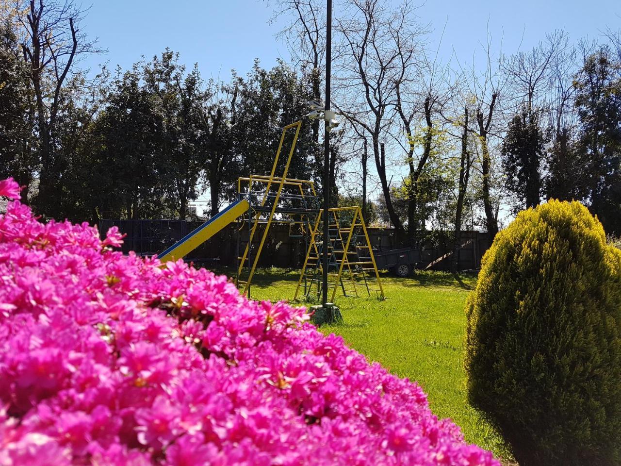 Cabanas Risso Villa Villarrica Exteriör bild